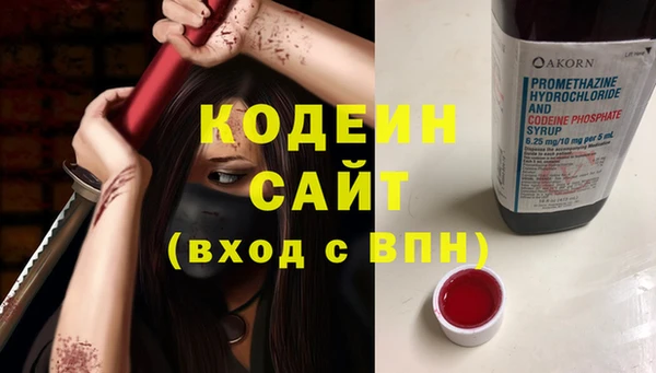 мдпв Протвино