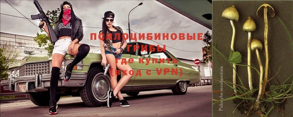 мдпв Протвино