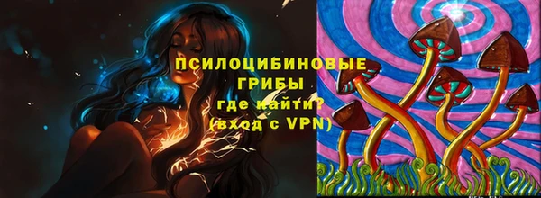 дмт Пролетарск