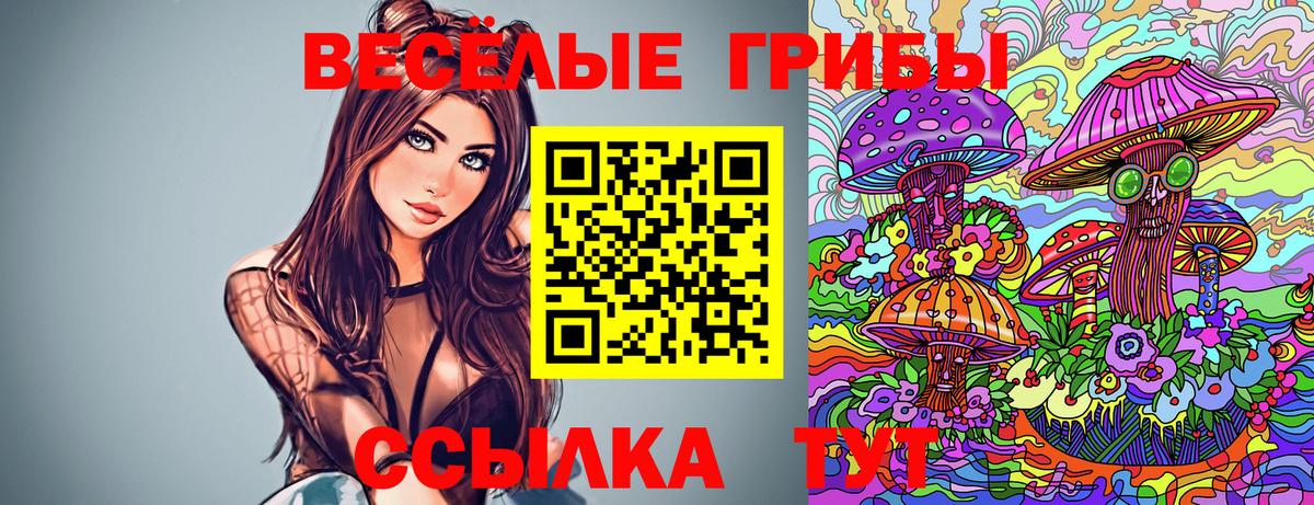 Благовещенск  Псилоцибиновые грибы ЛСД  Псилоцибиновые грибы MAGIC MUSHROOMS  Вход с VPN 